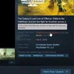 Helldivers 2 CEO Speaks Out